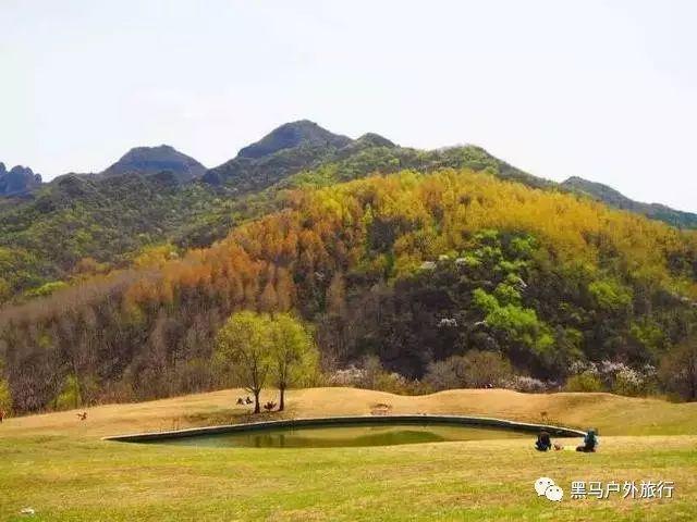 全民剧本大师内置菜单